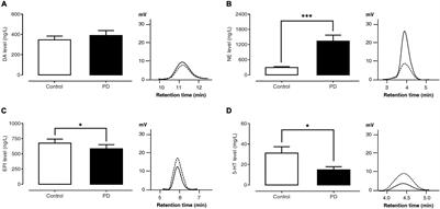 Monoamine Levels and Parkinson’s Disease Progression: Evidence From a High-Performance Liquid Chromatography Study